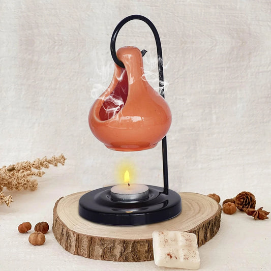 Pure Source India Ceramic Aroma Oil Diffuser for Home Fragrance Decoration